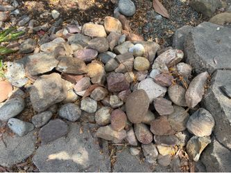 River rocks medium to large