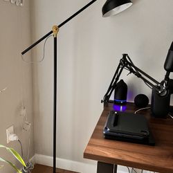 Floor/ Reading Black Lamp