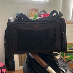 Puppy/Kitten  carrier 