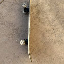 Skateboard