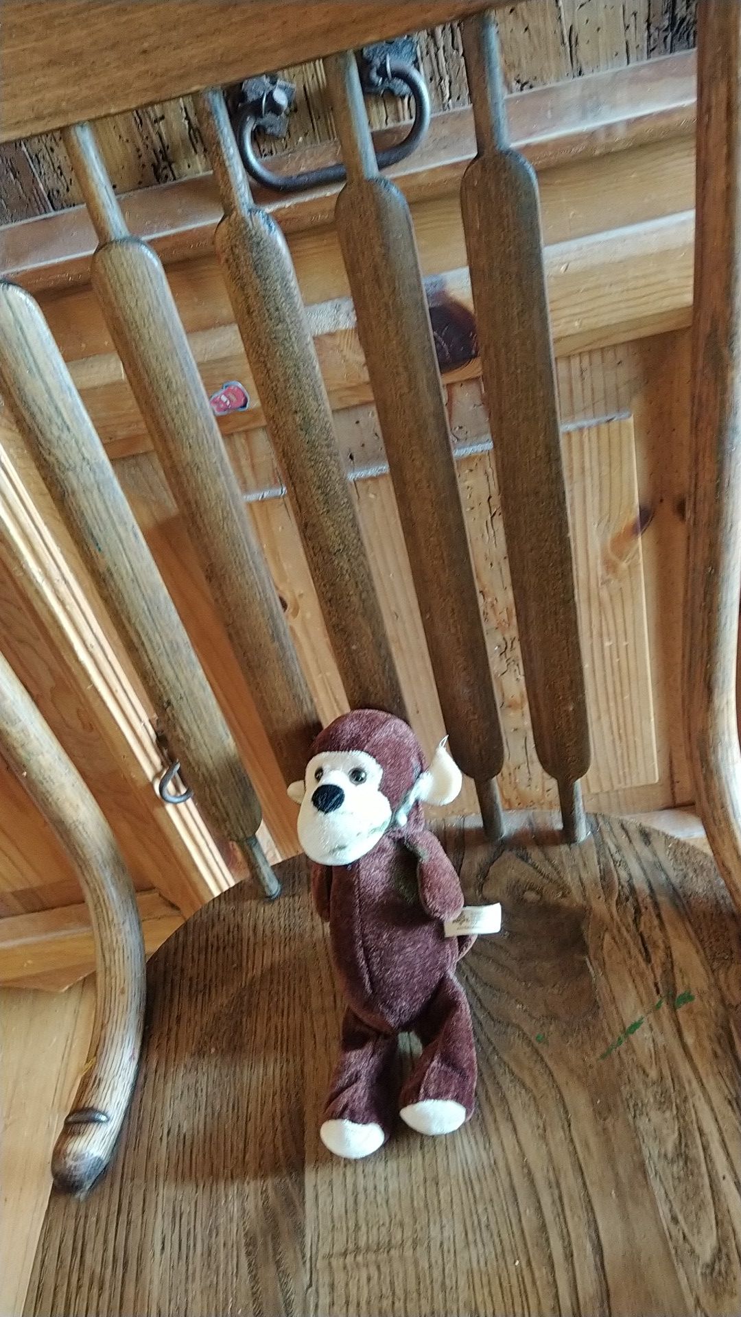 Stuffed animal monkey
