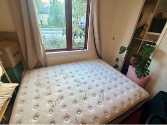 Organic Queen Mattress in great shape