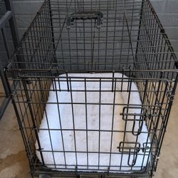 Dog Crate - 24" X 17" X 19"