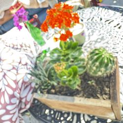 Beautiful 3 Different Plants In Redwood Planter Dimensions 13.5 X 8 X 9 Tall Inch.
