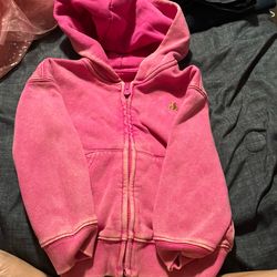 Gap Hoodie