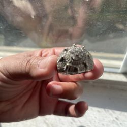 Men’s Size 11 De Plata 