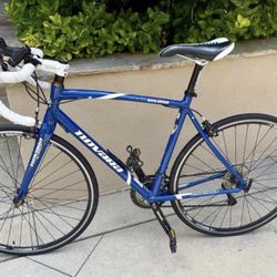 Novara Nivano Carbon Road Bike