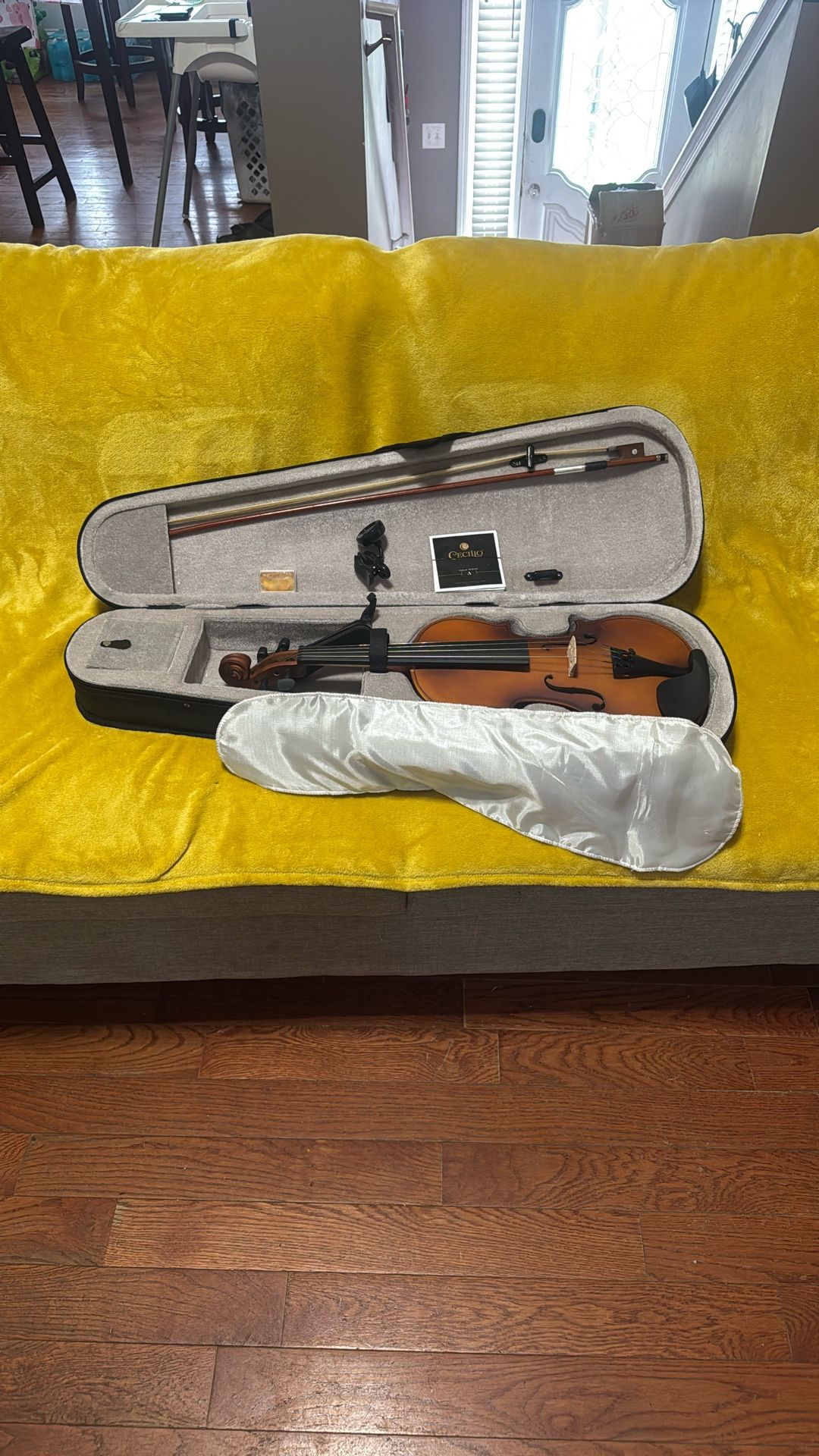 Violin
