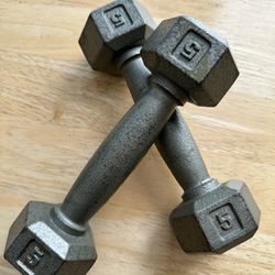 5lb Weights (2)