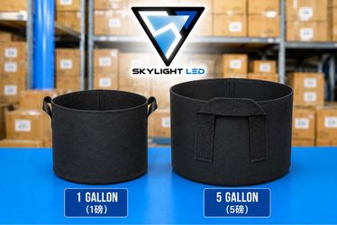Plant Grow Bags