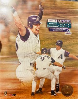 2001 World Series Game 7 Arizona Diamondbacks Photo