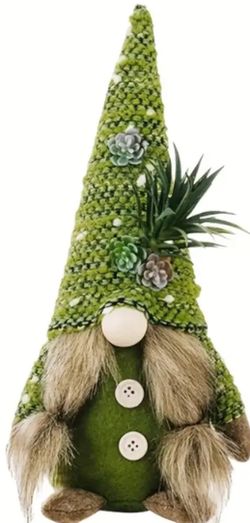 Succulent Gnomes