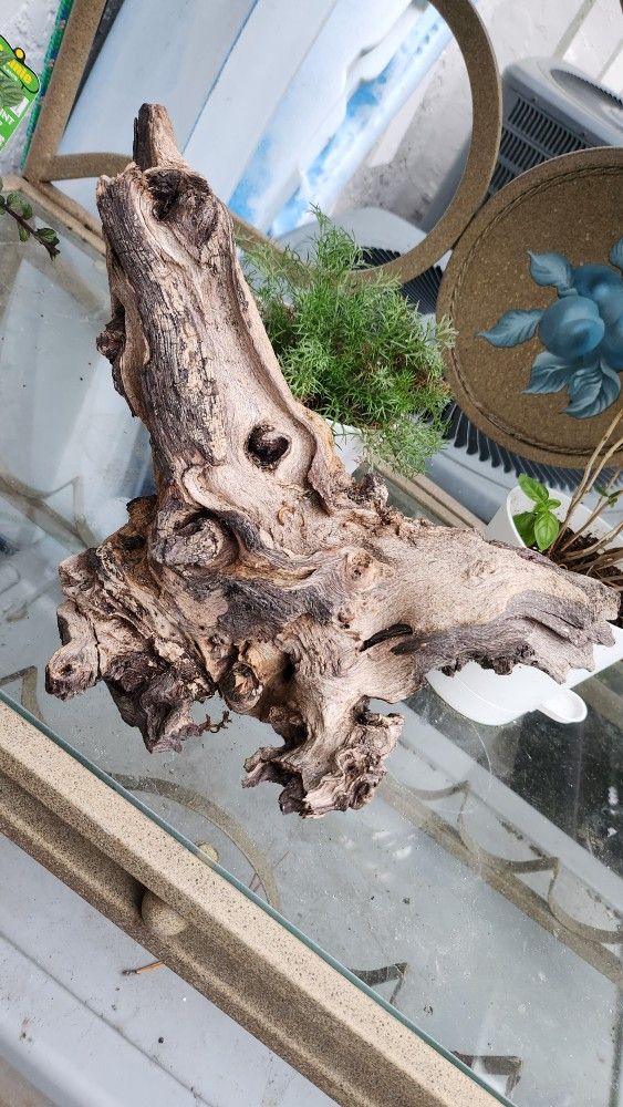 Drift Wood Decor