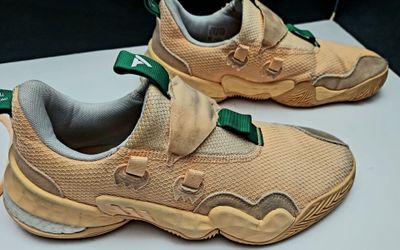 Adidas Trae Young 1 "Peachtree" Basketball Shoes