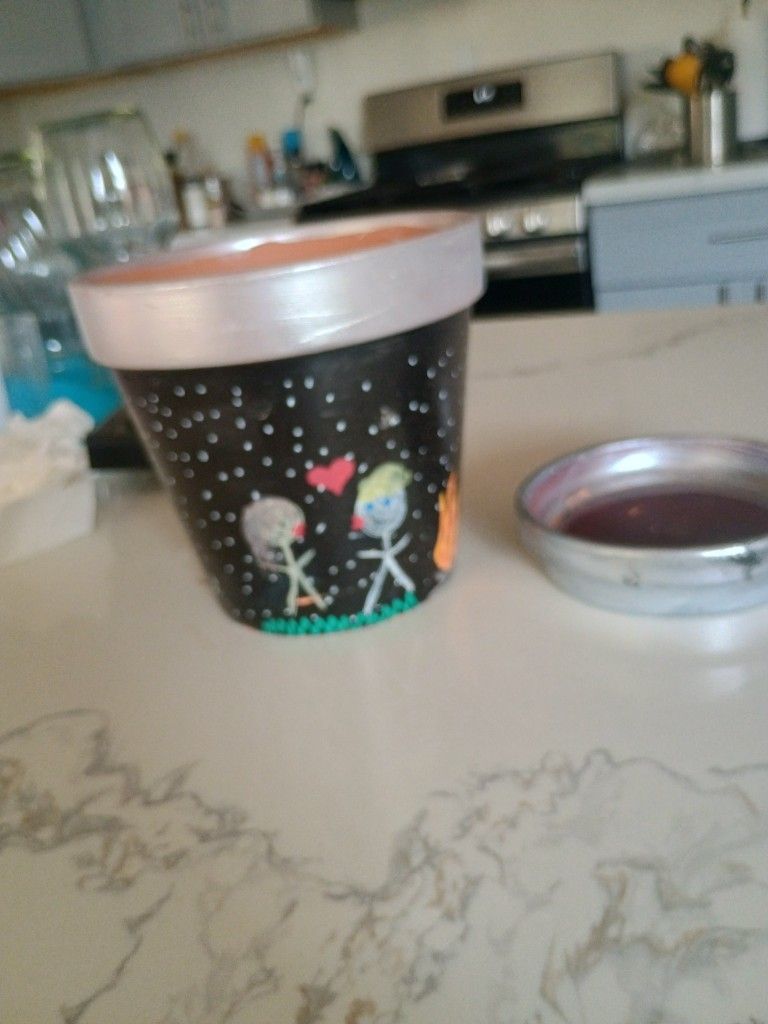 Hand Painted Terracotta Plant Pot