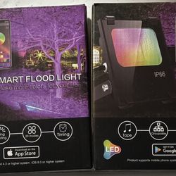 Smart Flood Light