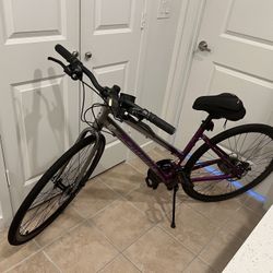 Ladies 28” Schwinn Circuit Bicycle 