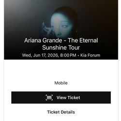 6/17 Eternal Sunshine Floor Seat Ticket 