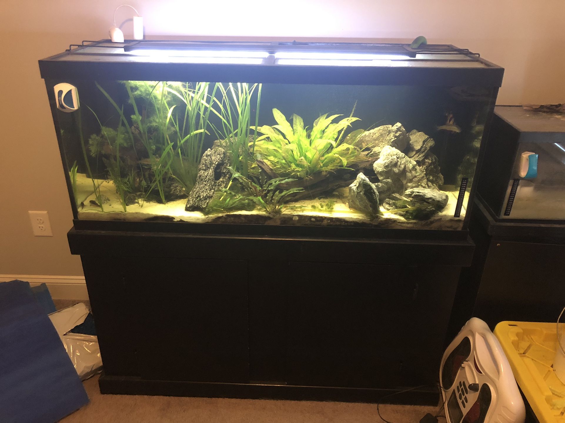 75 Gallon aquarium