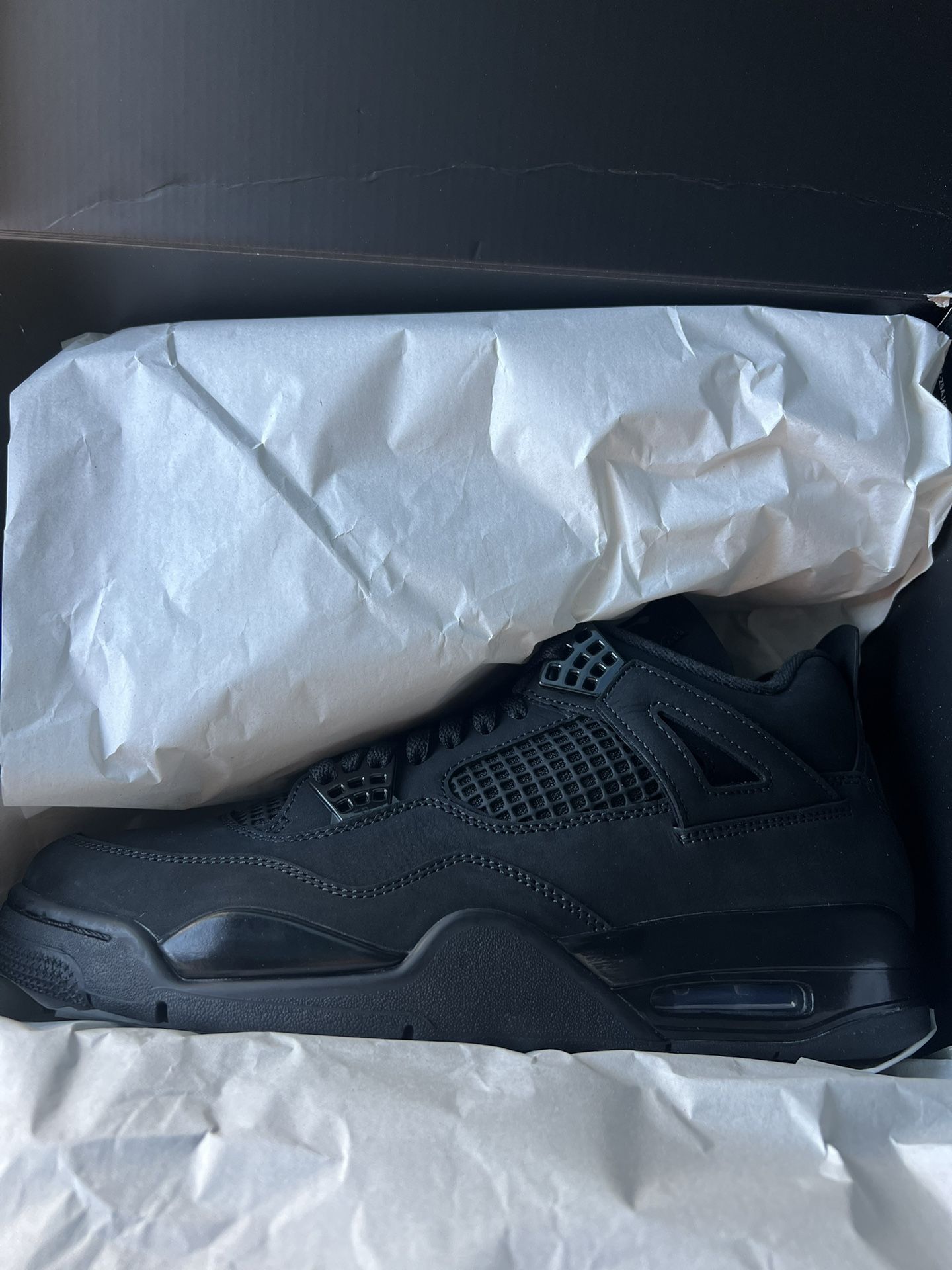 Nike Jordan 4 Black Cat 