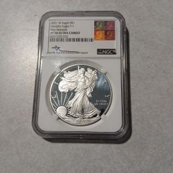 Silver Eagle 
