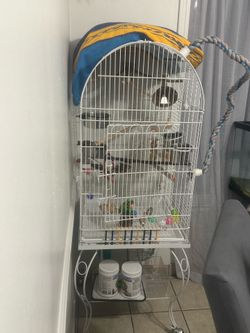 Bird cage