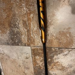 DeMarini 2022 Zoa (-3) BBCOR Baseball Bat