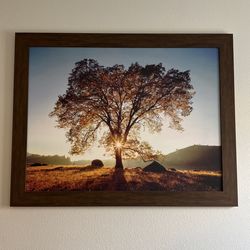 Framed Art