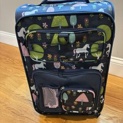 Kids Carry On Suitcase 