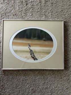 Frames