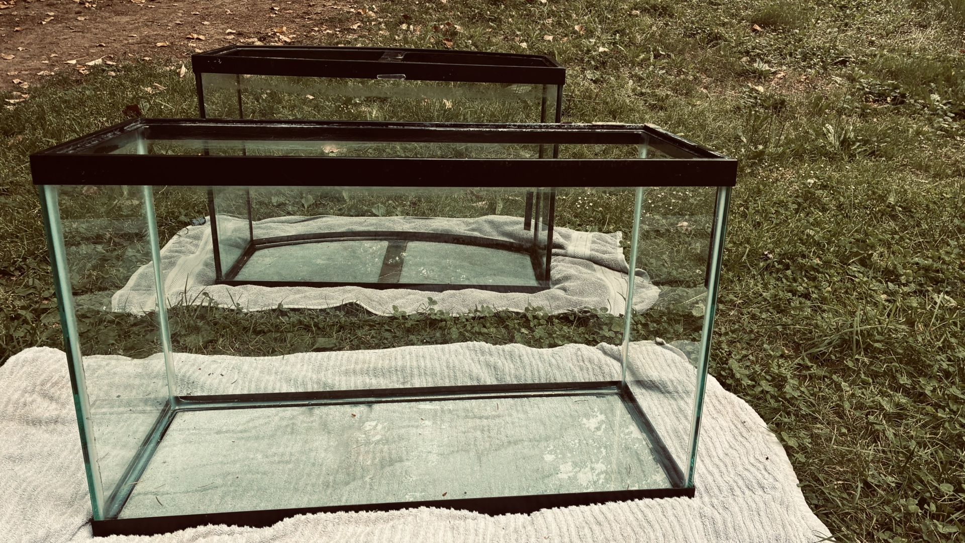 Fish Tanks, Fish Tank Stand, Fish Tank Set Up