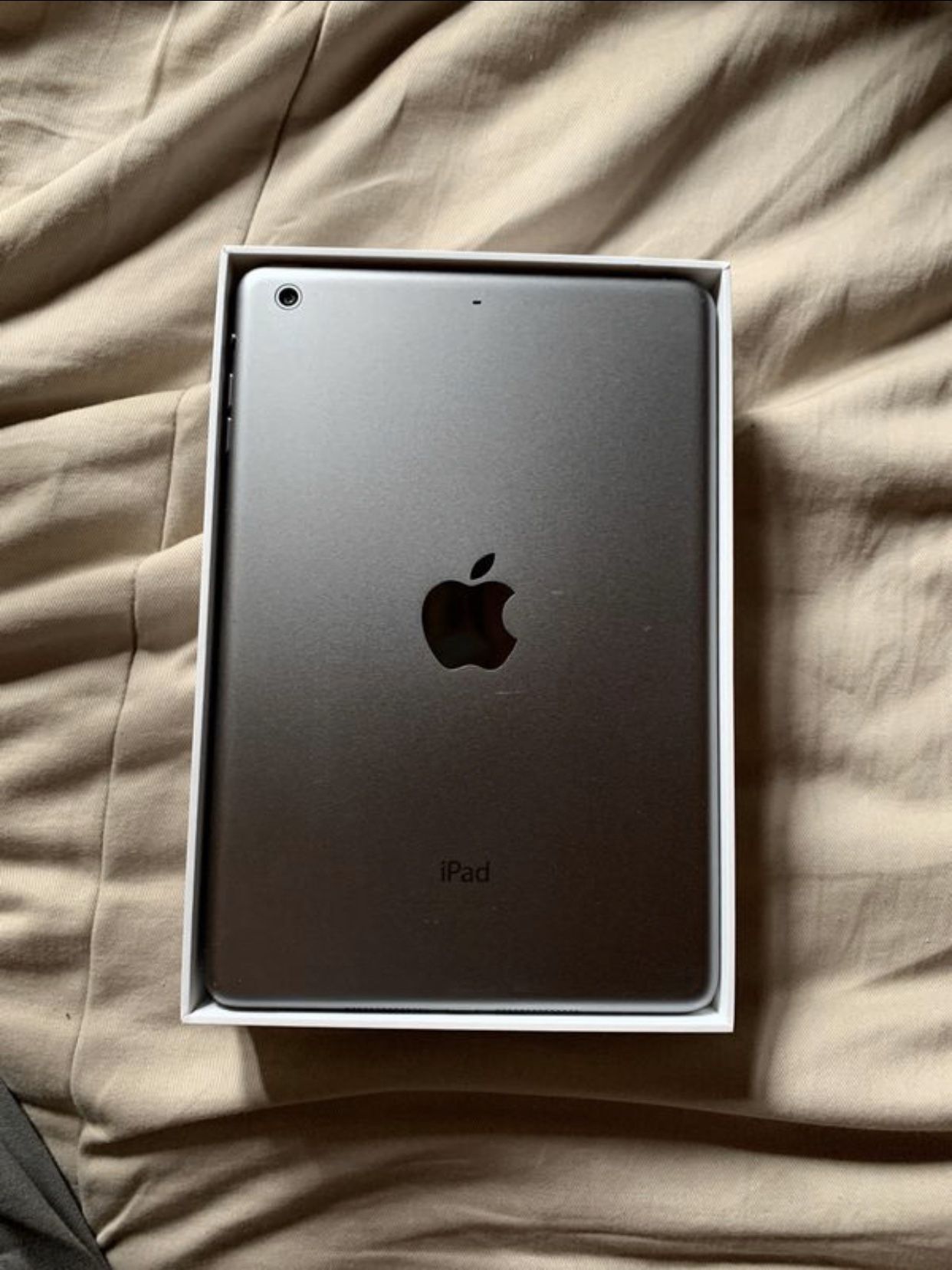 iPad mini 2