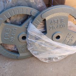 45 lb One-Inch Weight Plate Pair, New 