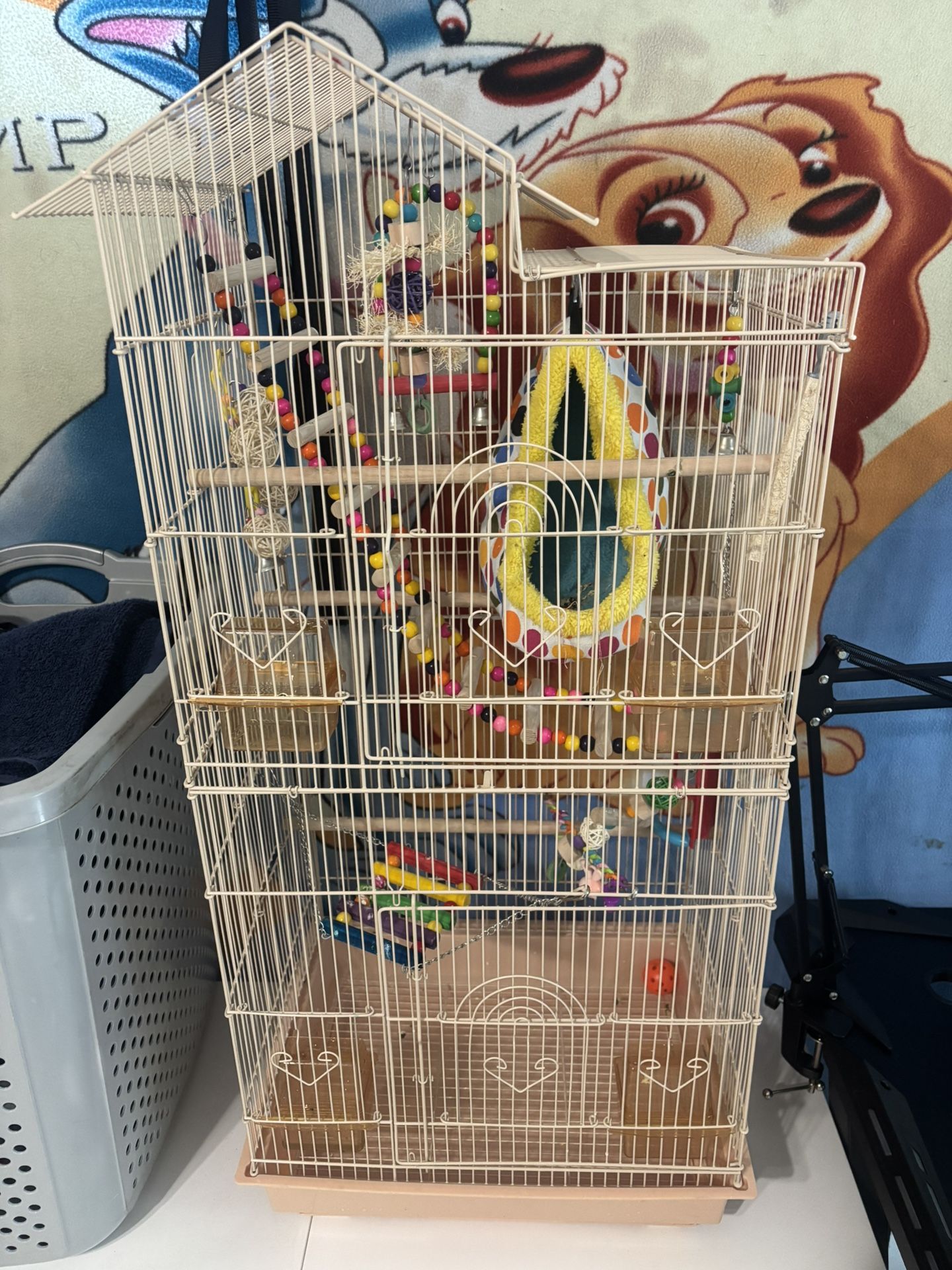 Bird Cage