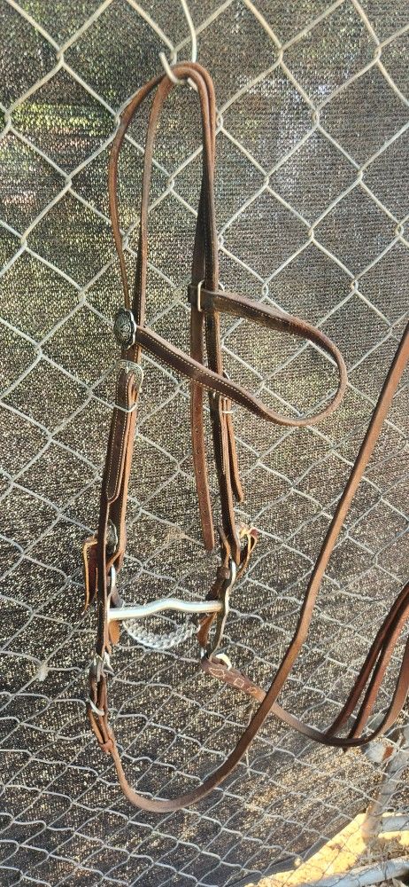 Bridle And Reins For Sale