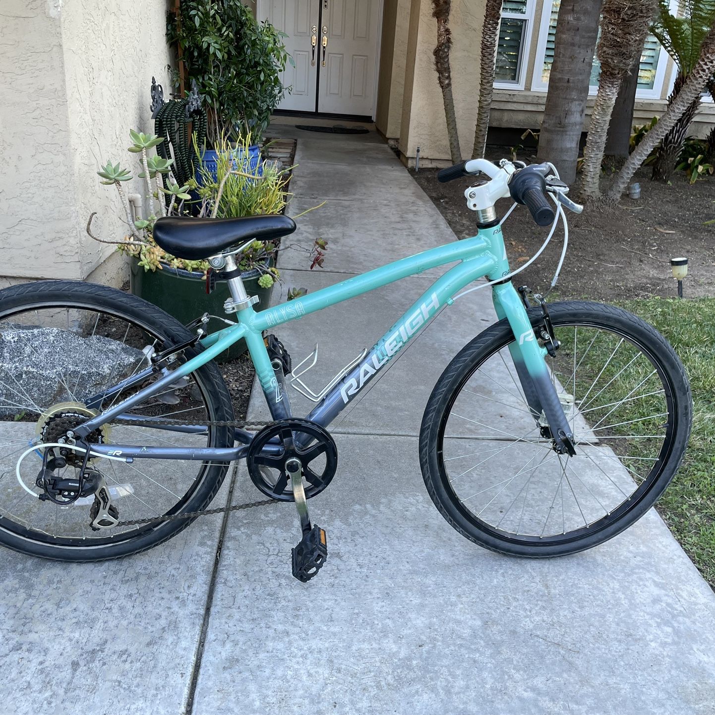 Raleigh jazzi 20 pink 2025