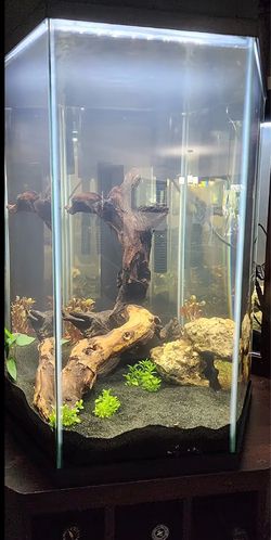 Hexagon Aquarium