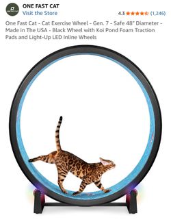 Cat run wheel