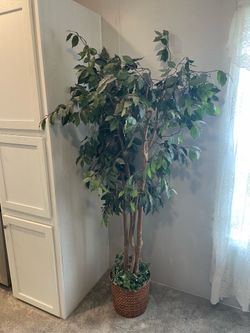6 foot fake ficus tree