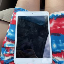 iPad Mini 1 St Generation 