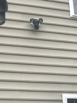 Let Night&day Electric install wireless security cameras