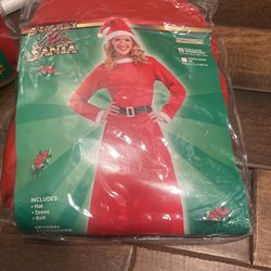 Mrs Santa Costume 