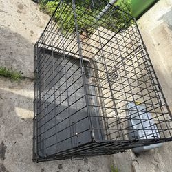 Medium dog cage / kennel