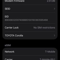 iPhone 16 Pro Silver 