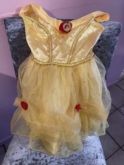 Princess Belle Costume