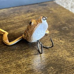 Frog Ends