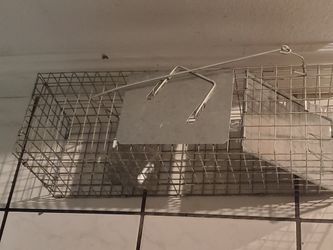 Animal Trap (small)