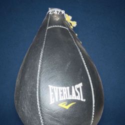 Everlast Platform Mount With Speed Bag