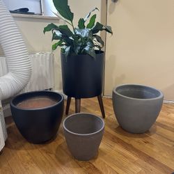 Plant And Pots