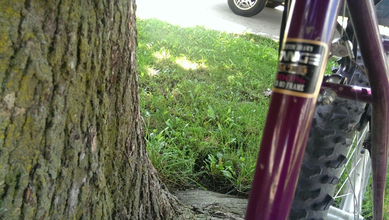 値下げ！Mon Rockadile SX MTBフレームとフォーク $_57.JPG?set_id=880000500F